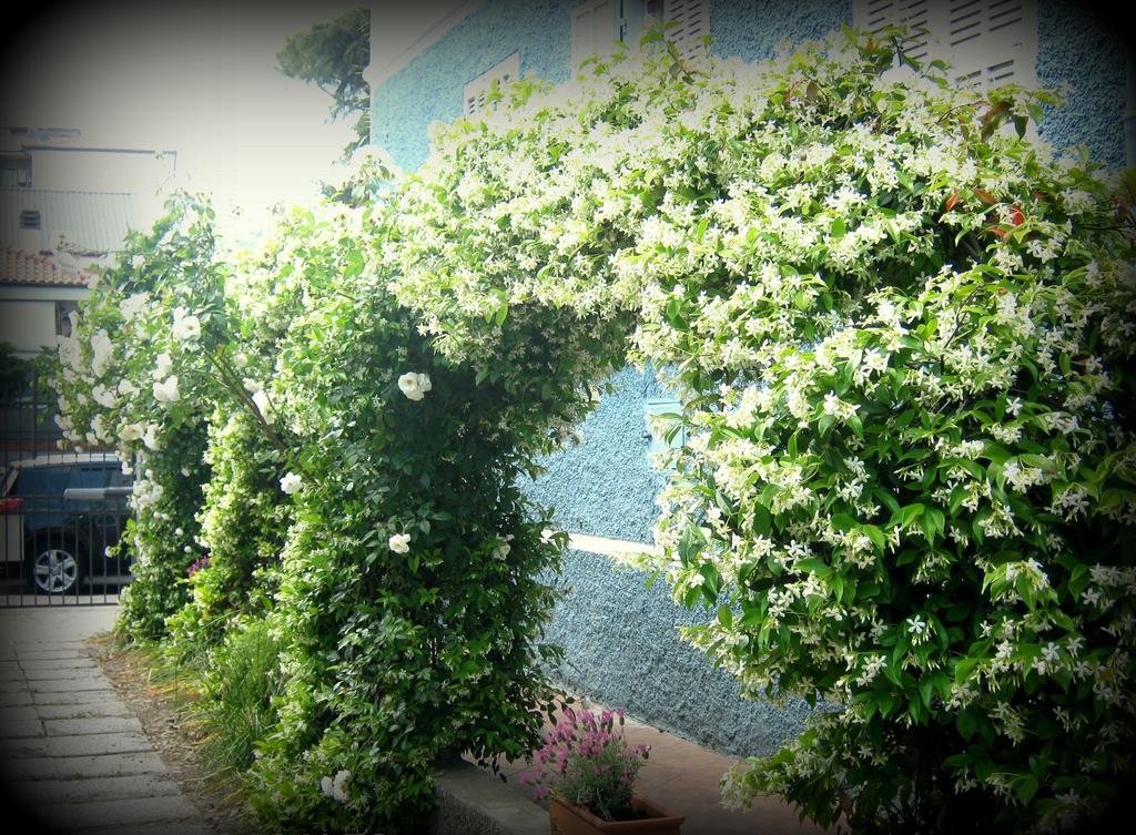 B&B Elisir Albenga Bagian luar foto
